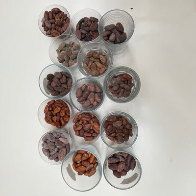 Bean to Bar Immersion Workshop - Chloe Doutre-Roussel