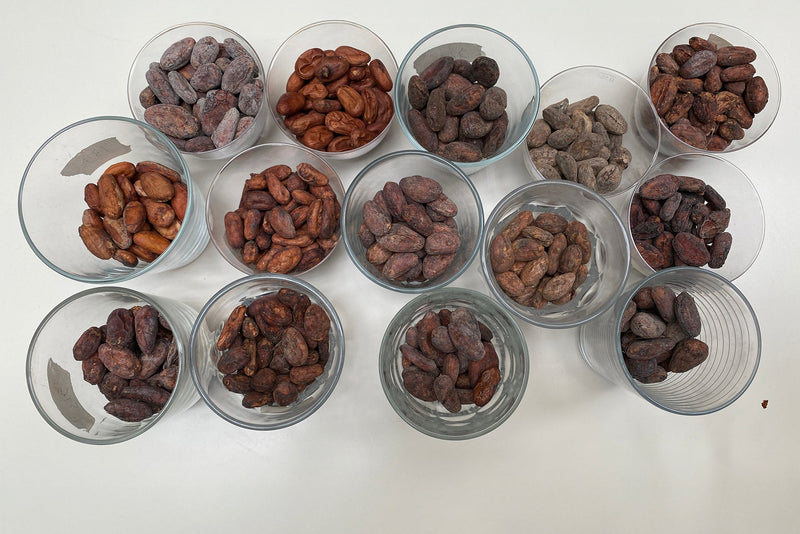 Bean to Bar Immersion Workshop - Chloe Doutre-Roussel